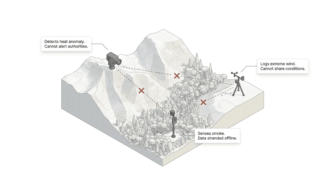 The disconnected wilderness: a camera detects a heat anomaly but can't alert anyone, a weather station logs extreme wind it can't share, and a smoke sensor's data sits stranded offline - three isolated devices on unconnected country.